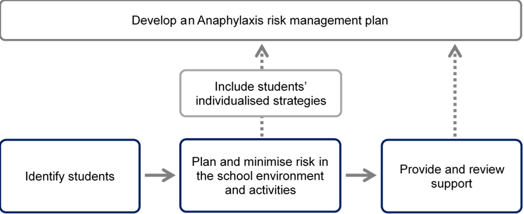 Supporting students with asthma and/or at risk of anaphylaxis at school process summary