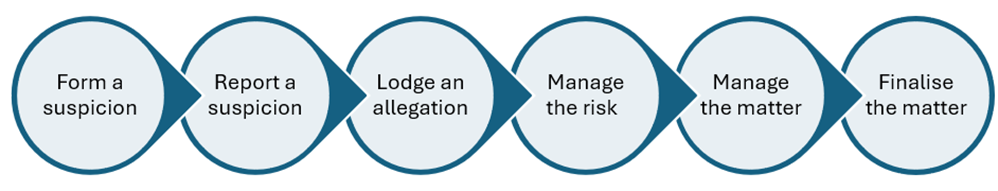 A flowchart illustrating a six-step process for handling a matter, starting with "Form a suspicion" and ending with "Finalise the matter." Each step is represented by a light blue circular shape connected by arrows, showing a clear progression through reporting, lodging allegations, managing risk, and concluding the matter.
