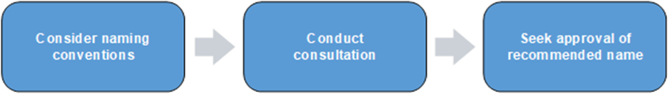 Process flow for naming a departmental asset. Steps are: Consider naming conventions Conduct consultation Seek approval of recommended name